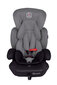 Automobilinė kėdute BabyGo - Protect, Grey kaina ir informacija | Autokėdutės | pigu.lt