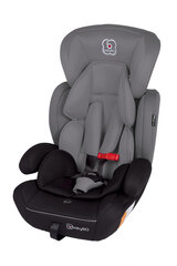 Automobilinė kėdute BabyGo - Protect, Grey kaina ir informacija | Autokėdutės | pigu.lt