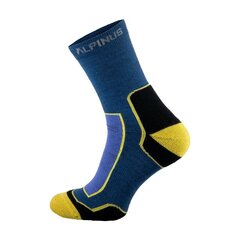 Kojinės unisex Alpinus, įvairių spalvų kaina ir informacija | Vyriškos kojinės | pigu.lt