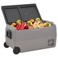 Šaltdėžė su ratukais ir adapteriu VidaXl, 50l, pilka kaina ir informacija | Šaltkrepšiai, šaltdėžės ir šaldymo elementai | pigu.lt