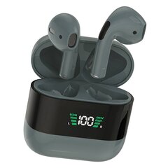 Wireless earphones TWS Foneng BL108 (grey) цена и информация | Наушники | pigu.lt