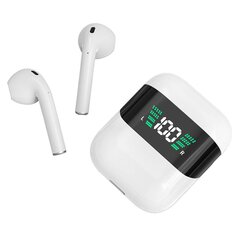 Wireless earphones TWS Foneng BL112 (white) цена и информация | Наушники | pigu.lt