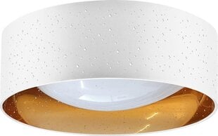 Lubinis šviestuvas LED Starry Sky White and Gold, 18W цена и информация | Потолочные светильники | pigu.lt