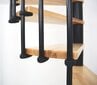 Spiraliniai laiptai Minka Berlin, 309x120 cm цена и информация | Laiptai | pigu.lt