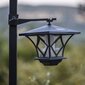 Sodo šviestuvas su saulės kolektoriumi Latern, 57-155 cm kaina ir informacija | Lauko šviestuvai | pigu.lt