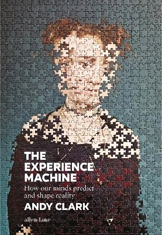 Experience Machine: How Our Minds Predict and Shape Reality kaina ir informacija | Ekonomikos knygos | pigu.lt