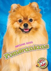 Pomeranians цена и информация | Книги для подростков  | pigu.lt