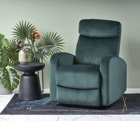 Кресло для гостиной Wonder, зеленый цвет цена и информация | Кресла в гостиную | pigu.lt