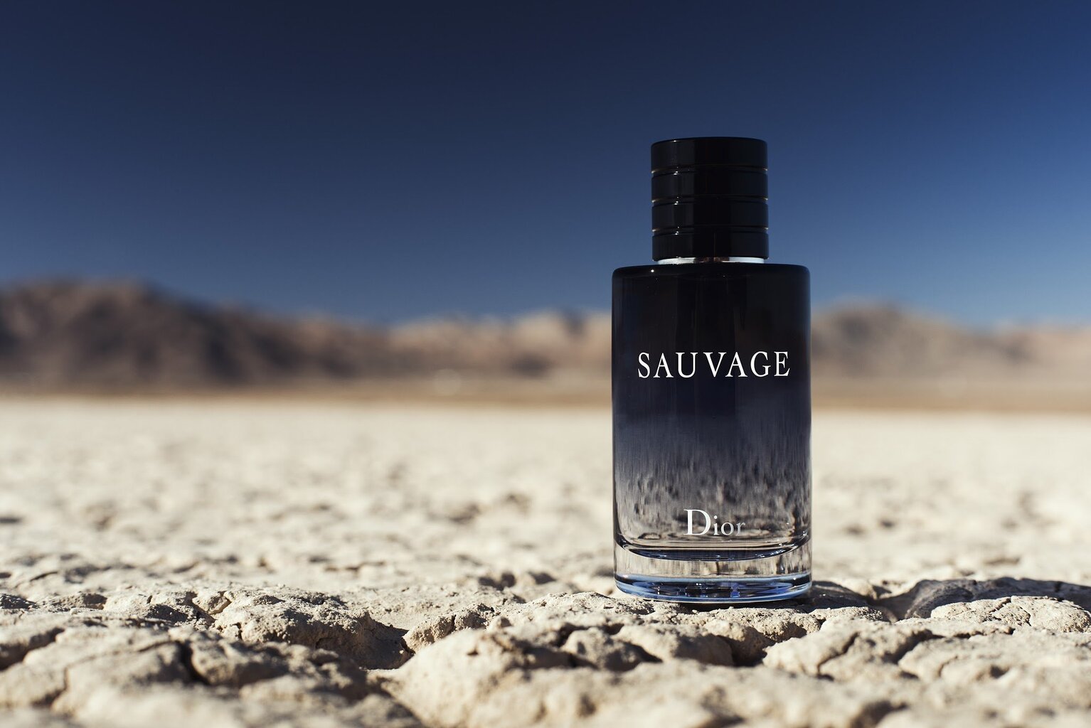 Туалетная вода Dior Sauvage EDT для мужчин, 60 мл цена | pigu.lt