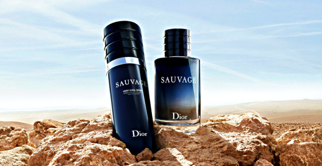 Tualetinis vanduo Dior Sauvage EDT vyrams 100 ml цена и информация | Kvepalai vyrams | pigu.lt