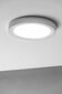GTV LED įmontuojamas šviestuvas Louis цена и информация | Įmontuojami šviestuvai, LED panelės | pigu.lt