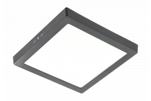 Светильник LED MATIS PLUS, 24W, черный, 3000K, 2000lm, AC220-240V, IP20 цена и информация | Монтируемые светильники, светодиодные панели | pigu.lt