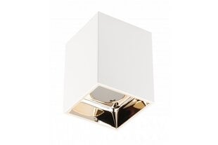 Корпус светильника потолочного Aries, PC, 77x100mm, IP20, max 20W, квадратный, белый/золотой цена и информация | Потолочные светильники | pigu.lt