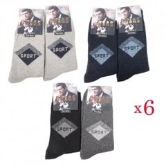 Vilnonės kojinės vyrams 7911-36-125, įvairių spalvų, 6 poros kaina ir informacija | Vyriškos kojinės | pigu.lt