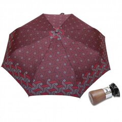 Полуавтоматический зонт CARBON STEEL DA330-9 цена и информация | Женские зонты | pigu.lt