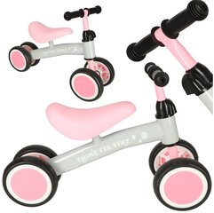Triratis balansinis dviratukas Trike-Fix, rožinis kaina ir informacija | Balansiniai dviratukai | pigu.lt