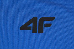Marškinėliai vyrams 4F, mėlyni kaina ir informacija | Vyriški marškinėliai | pigu.lt