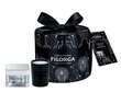 Veido priežiūros rinkinys Filorga: veido kremas, 50 ml + kvapioji žvakė, 70 g kaina ir informacija | Kūno kremai, losjonai | pigu.lt