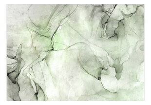 Фотообои с инструментом и клеем - Камень в зеленом цвете, 350x256 см цена и информация | Фотообои | pigu.lt