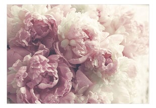 Фотообои с инструментом и клеем - Очаровательные цветущие пионы, 350x256 см цена и информация | Фотообои | pigu.lt