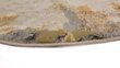 Gazelle kilimas 22160 160x230 cm kaina ir informacija | Kilimai | pigu.lt