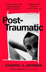 Post-Traumatic: Utterly compelling literary fiction about survival, hope and second chances kaina ir informacija | Fantastinės, mistinės knygos | pigu.lt