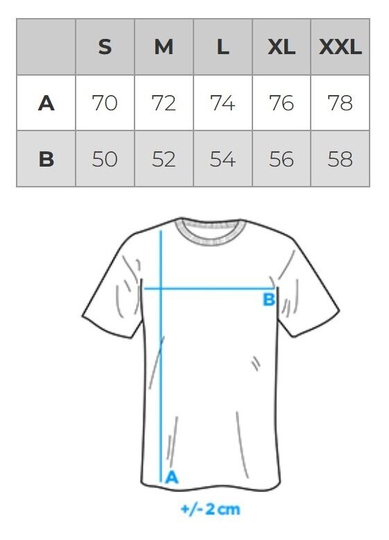Marškinėliai su užrašu vyrams medvilnė Ombre S1752 kaina ir informacija | Vyriški marškinėliai | pigu.lt
