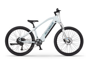 Elektrinis dviratis Ecobike SX Youth White 14", 2023, baltas kaina ir informacija | Elektriniai dviračiai | pigu.lt