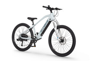 Elektrinis dviratis Ecobike SX Youth White 14", 2023, baltas kaina ir informacija | Elektriniai dviračiai | pigu.lt