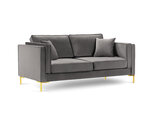 Двухместный диван Luis 2, светло-серый/золотой цвет