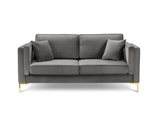 Dvivietė sofa Luis 2, šviesiai pilka/auksinė kaina ir informacija | Sofos | pigu.lt
