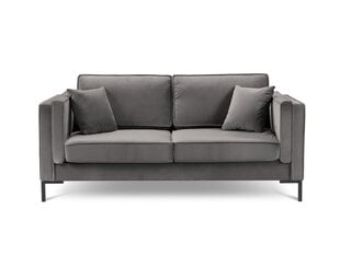 Dvivietė sofa Luis 2, šviesiai pilka/juoda kaina ir informacija | Sofos | pigu.lt