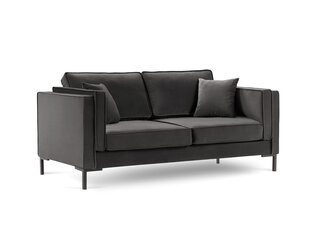 Двухместный диван Luis 2, темно-серый/черный цвет цена и информация | Диваны | pigu.lt