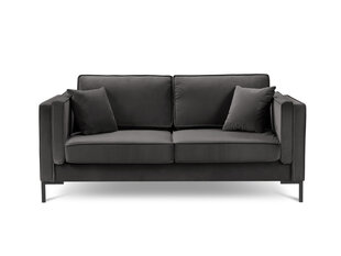 Dvivietė sofa Luis 2, tamsiai pilka/juoda kaina ir informacija | Sofos | pigu.lt
