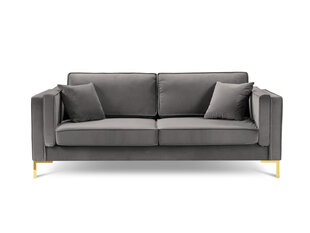Trivietė sofa Luis 3, šviesiai pilka/auksinė kaina ir informacija | Sofos | pigu.lt
