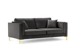 Trivietė sofa Luis 3, tamsiai pilka/auksinė kaina ir informacija | Sofos | pigu.lt