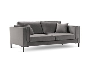 Trivietė sofa Luis 3, šviesiai pilka/juoda kaina ir informacija | Sofos | pigu.lt