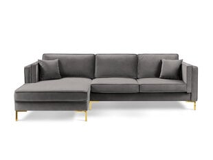 Левый угловой диван Luis 5, светло-серый/золотой цвет цена и информация | Диваны | pigu.lt