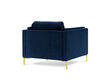 Fotelis Luis 1, mėlynas/auksinės spalvos цена и информация | Svetainės foteliai | pigu.lt