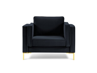 Fotelis Luis 1, tamsiai mėlynas/auksinės spalvos kaina ir informacija | Svetainės foteliai | pigu.lt