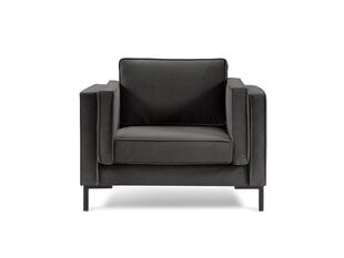 Fotelis Luis 1, tamsiai pilkas/juodas kaina ir informacija | Svetainės foteliai | pigu.lt