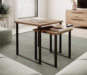 2-ų kavos staliukų komplektas ADRK Furniture Aria, rudas kaina ir informacija | Kavos staliukai | pigu.lt