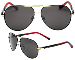 Поляризованные солнцезащитные очки для мужчин S40 цена и информация | Солнцезащитные очки для мужчин | pigu.lt