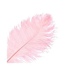Stručio plunksna, 26-28 cm, rožinė kaina ir informacija | Dekoracijos šventėms | pigu.lt