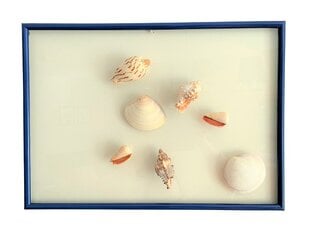 Настенное украшение Морская ракушка цена и информация | Детали интерьера | pigu.lt
