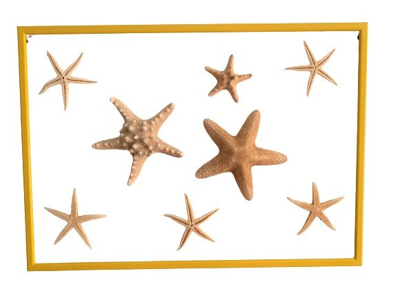 Sienų dekoracija Jūros žvaigždės Handcrafted kaina ir informacija | Interjero detalės | pigu.lt
