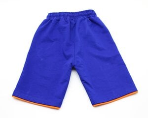 Джинсовые шорты для мальчиков, синие цена и информация | Шорты для мальчиков | pigu.lt