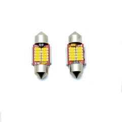 Лампа автомобильная светодиодная EinParts C5W Festoon 31mm 5000K CanBus 12/24V - 2 шт. цена и информация | Автомобильные лампочки | pigu.lt