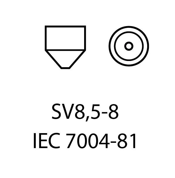 Automobilinės LED lemputė EinParts Festoon C5W kaina ir informacija | Automobilių lemputės | pigu.lt