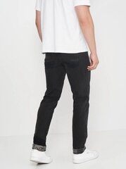 Мужские джинсы Desigual GODWIN SLIM цена и информация | Mужские джинсы Only & Sons Loom 5714910844399 | pigu.lt